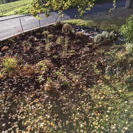 Luecking Im Westerwald Flammersfeld